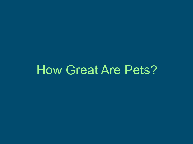 How Great Are Pets? Top Line Recruiting how great are pets 715