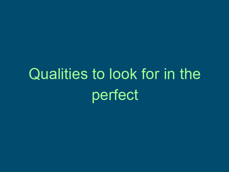 Qualities to look for in the perfect not-for-profit candidate Top Line Recruiting qualities to look for in the perfect not for profit candidate 687