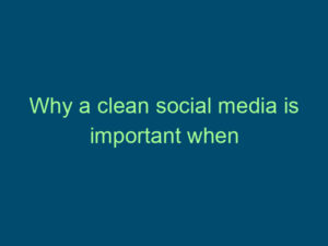 Why a clean social media is important when applying for jobs Top Line Recruiting why a clean social media is important when applying for jobs 495